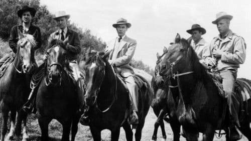 Special Agent Bild 6