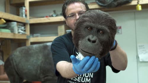 We Believe in Dinosaurs Bild 3