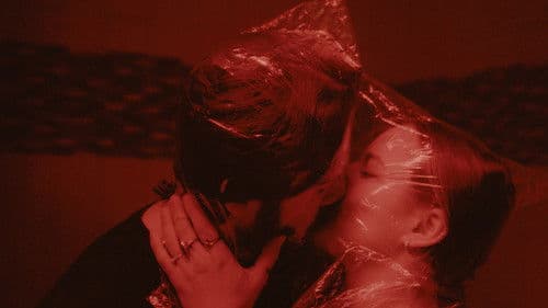 Looks Like I'm Still Here Bild 3