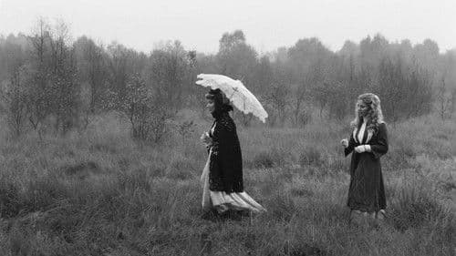 Fontane Effi Briest Bild 4