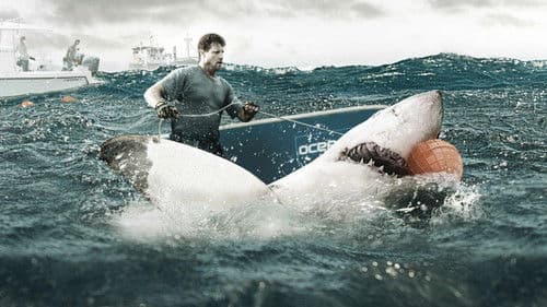 Shark Wranglers Bild 1