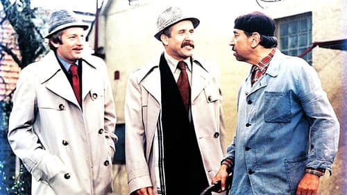 „Já to tedy beru, šéfe...!“ Bild 6