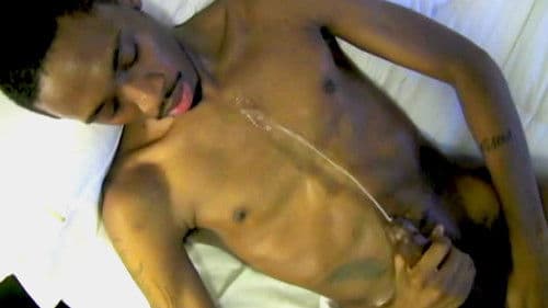 New Nuts on the Block Bild 1