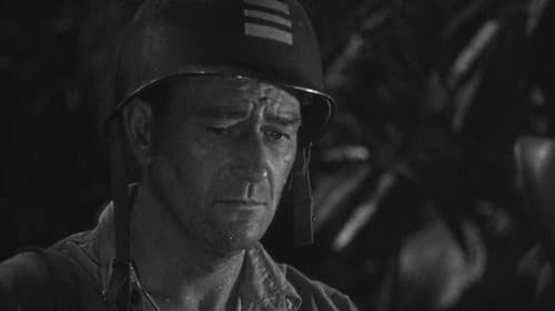 Unternehmen Seeadler Bild 3