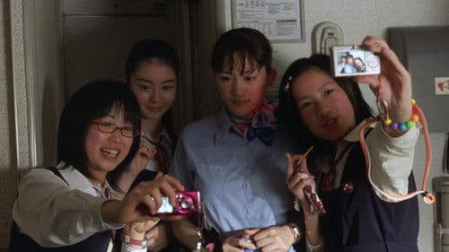 ハッピーフライト Bild 4