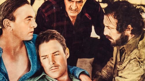 Buffalo Stampede Bild 1