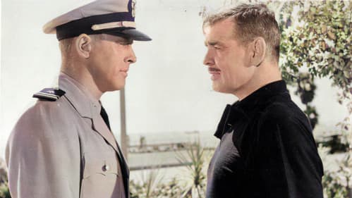 U 23 - Haie im Pazifik Bild 5