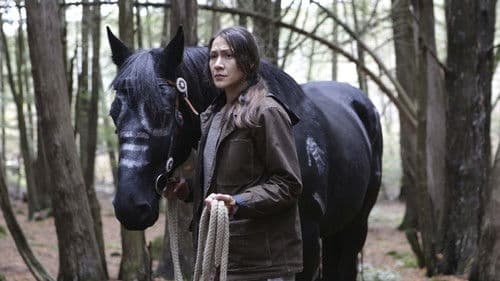 Night Raiders Bild 8