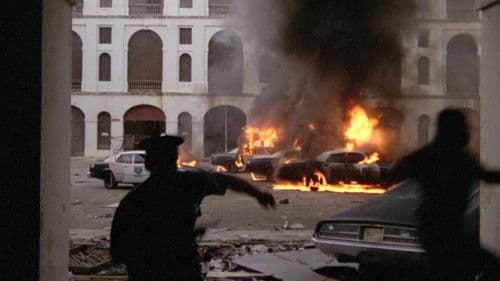 Tage des Wahnsinns Bild 4