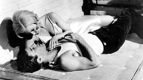 Joy in the Morning Bild 2