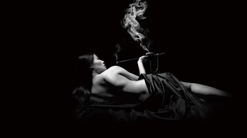 The Romeo Section Bild 1