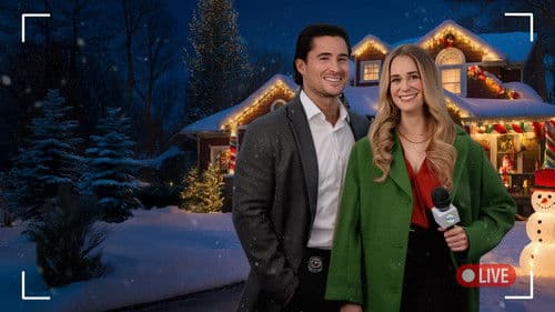 Merry Mystery Christmas Bild 4