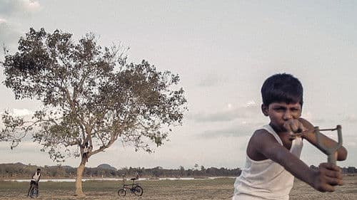 ஐகாட் Bild 4