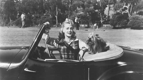 Follow the Sun Bild 3