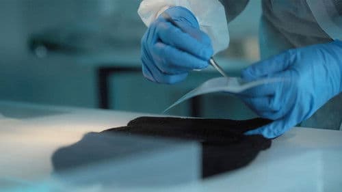 Pembrokeshire Murders - Der Serienkiller aus der Gameshow Bild 1