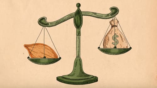 Unser Saatgut - Wir ernten, was wir säen Bild 7