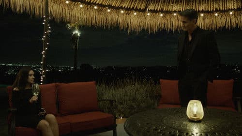 Bird of Paradise Bild 2