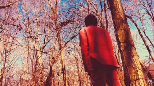 Hey, My Friend | A Dunces Burden Musical Bild 4