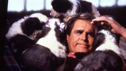 Eine Familie namens Beethoven Bild 8