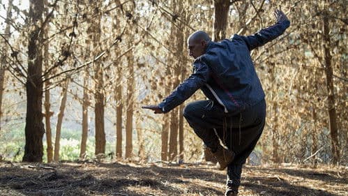 Die Faust des Condors Bild 5