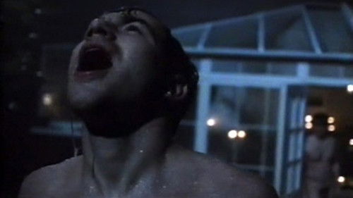 My Night with Reg Bild 1