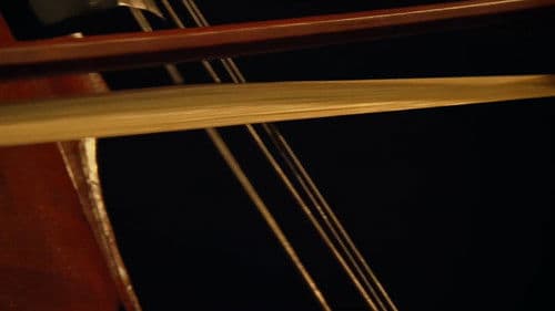 Aliment Roots Bild 1