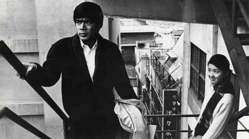 日本の青春 Bild 2