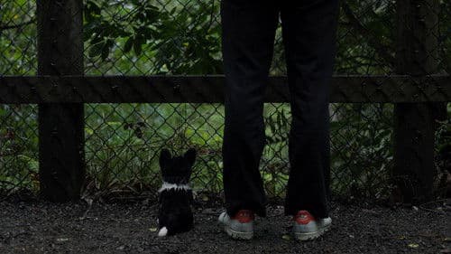 Forget Me Not Bild 1