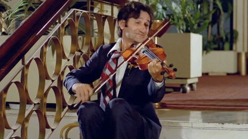 Αν Ήταν το Βιολί Πουλί... Bild 1