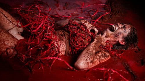 El Cuerpo de Lili Bild 1