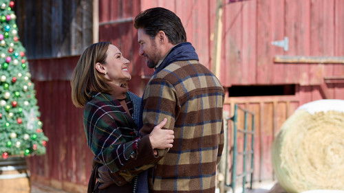 Our Holiday Story Bild 7