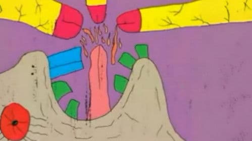 Mamilos em Chamas Bild 2