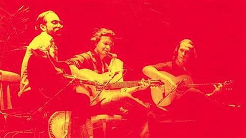 A Special Guitar Summernight Bild 1