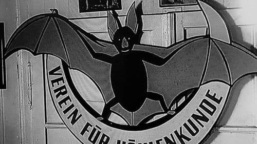 Cave Explorers Bild 1