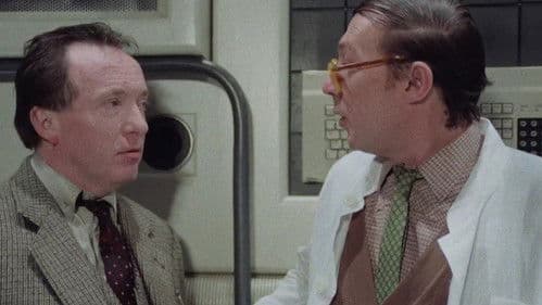 Zwei schräge Vögel Bild 5