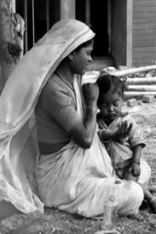 A Day with the Builders