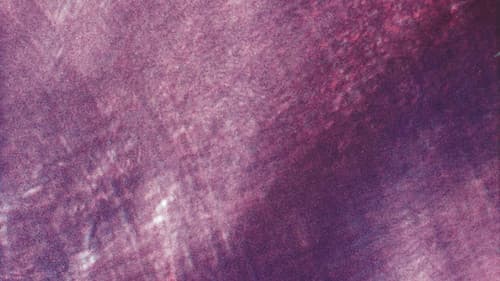 The Text of Light Bild 2