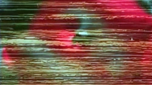 Battements solaires Bild 4