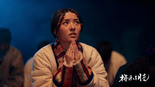 梅朵与月光 Bild 3