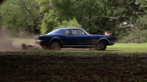 Ein Cop und ein Halber Bild 6