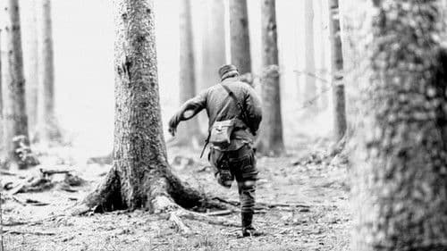 Vergessene Grenze Bild 2