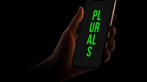 Plurals Bild 1