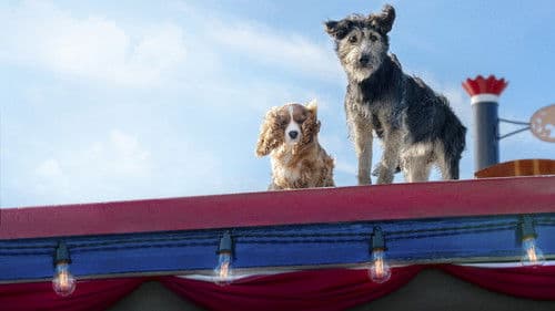 Susi und Strolch Bild 7