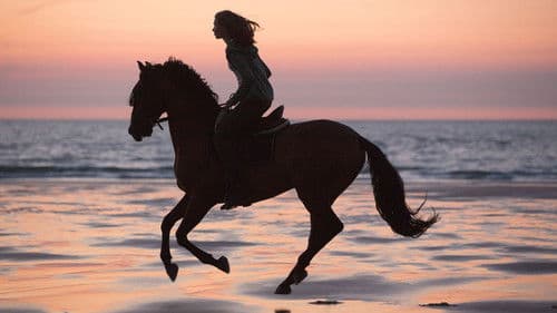Immenhof - Das Abenteuer eines Sommers Bild 3