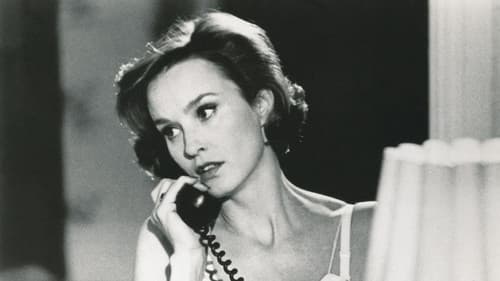 Die Katze auf dem heißen Blechdach Bild 1