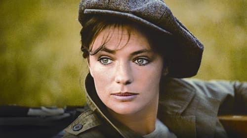 Die amerikanische Nacht Bild 4