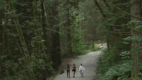 You Hide in Hope Bild 1