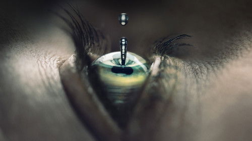 Falling Water Bild 3