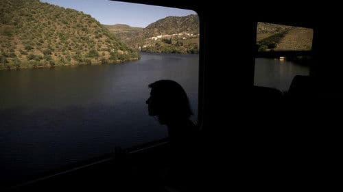 A Arte da Luz Tem 20.000 Anos Bild 2