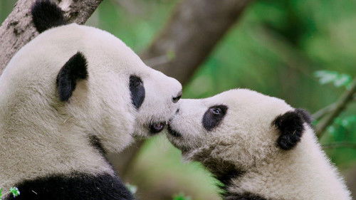 The Hidden Kingdoms of China Bild 1